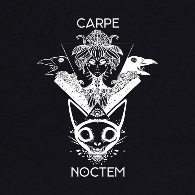 Carpe Noctem Witch & Crows Illustration, Seize The Night by cellsdividing